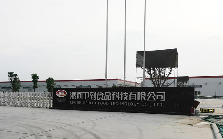 衛龍_01.jpg 衛龍_01.jpg